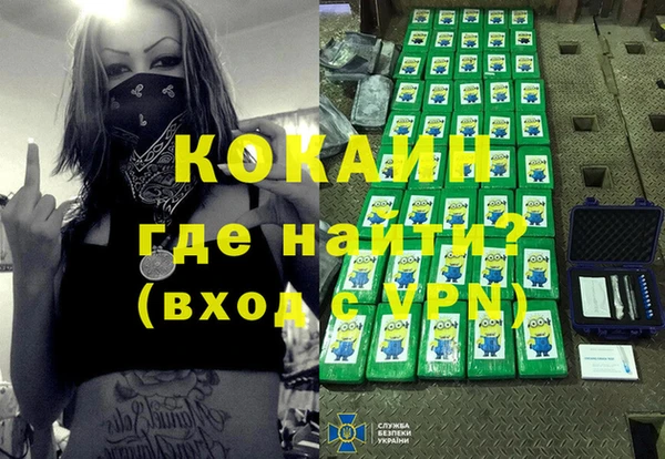 шишки Козельск