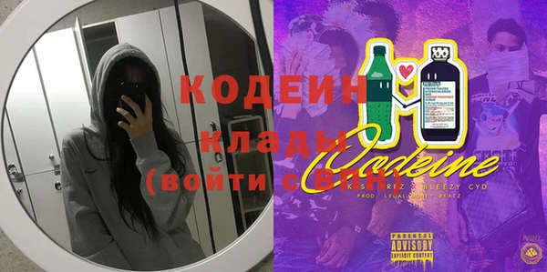 сатива Корсаков
