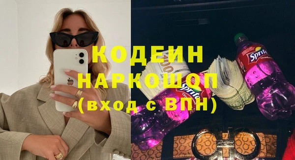 сатива Корсаков
