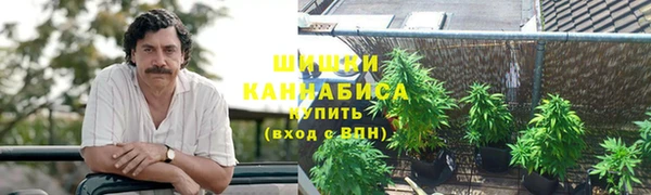 сатива Корсаков