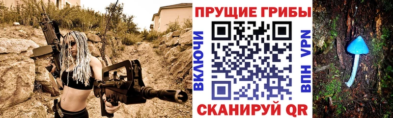 Псилоцибиновые грибы GOLDEN TEACHER  как найти закладки  Лахденпохья 